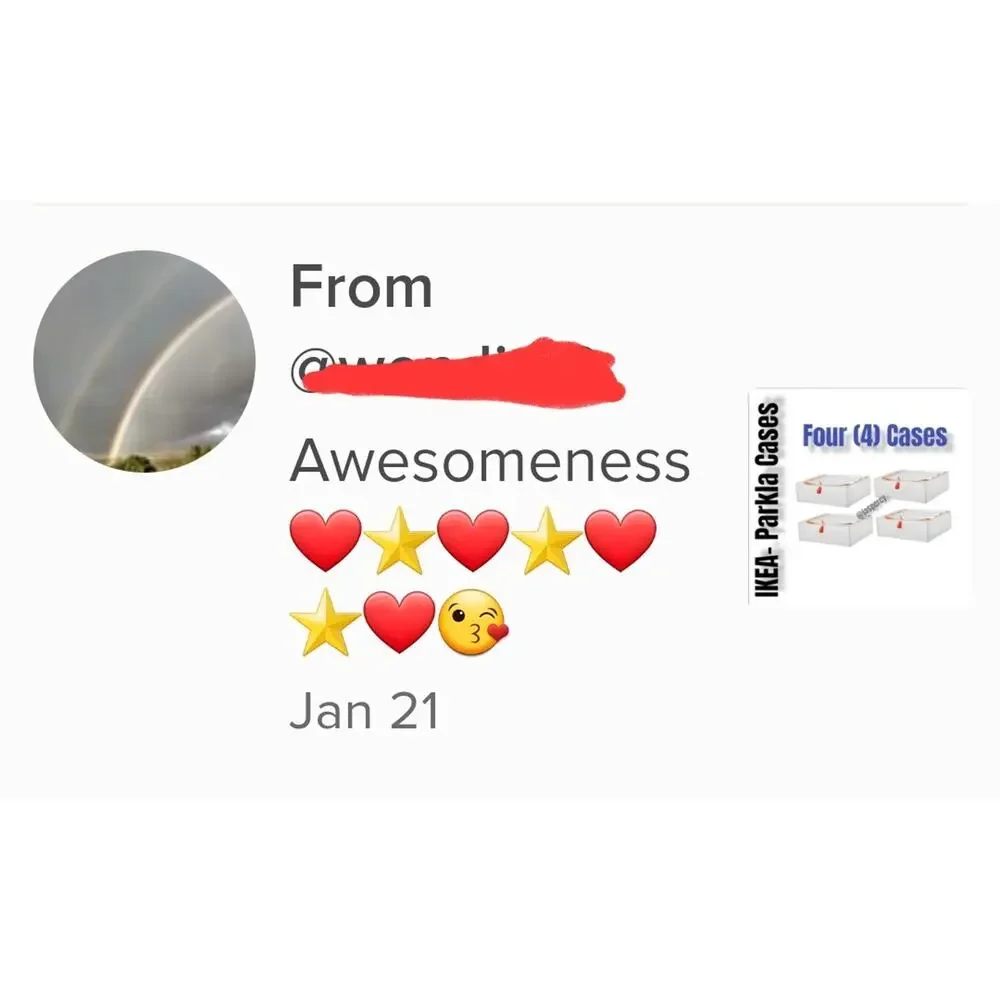 IKEA PÄRKLA Set of Four (4) Roomy Sturdy Storage Reusable Case Tote Travel Cube
